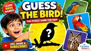 Guess the Bird | Learn Birds Name | Fun Puzzle Game for Kids | Learn About Birds | The Curious Echo