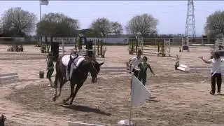 volteggio a cavallo il Sagittario obbligatori squadra cat. D
