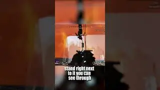 Apex bug that let's you see through zone