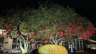 中山温泉 ♨️ 以為會好舊，原來開咗新翼，張床超大呀！