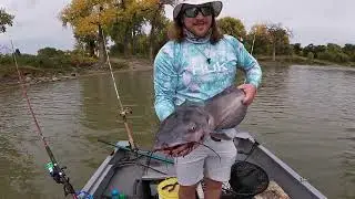 Catfish Bait preparation and more fish