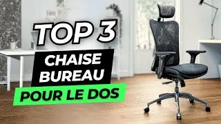 TOP 3 : Meilleure Chaise de Bureau Pour le Dos 2024