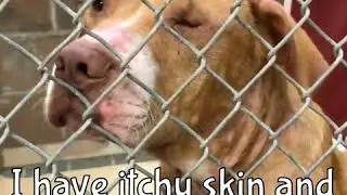 Timmy A511735