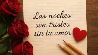Cuando la soledad me abraza, descubro que las noches son tristes sin tu amor verdadero