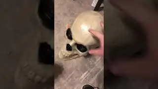Home Depot giant 12 foot Skeleton