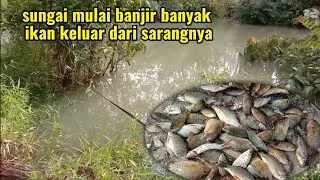 Pasang jaring ikan setelah hujan deras semalaman