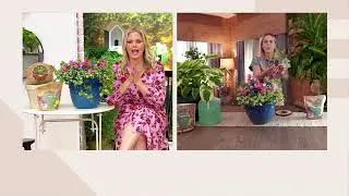 Roberta's 4-piece Lamium Plants on QVC