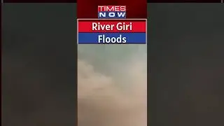 Water Flow Of River Giri Increases After Cloudburst In Sirmour #shorts
