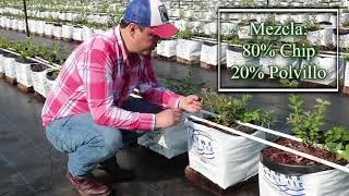 FibreDust & Horticultorres proveedores de fibra de coco y productores
