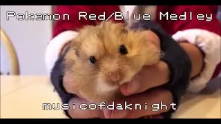 Pokemon Red/Blue Medley ~ Melodica Version