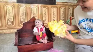 Tini the monkey goes to the market to wait for Mom to buy her favorite fruit
