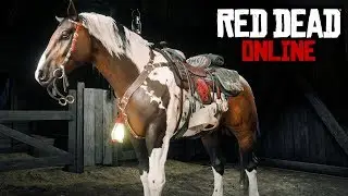 Лучшая скаковая лошадь в RDO! Обзор Norfolk Roadster MAX Level — обновление Red Dead Online Moons...