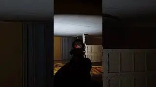 Quantity over Quality | Ready or Not Funny Moments #shorts #ReadyorNot #fps