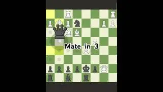 Black to Move and mate in 3. Find the Next Move