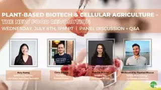 Plant-Based Biotech & Cellular Agriculture: The New Food Revolution