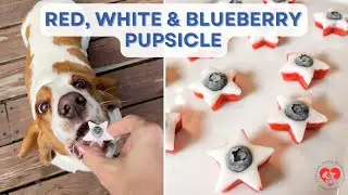 Red, White & Blueberry Pupsicles &ndash; Frozen Dog Treats for Summer! 🇺🇸