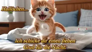 Abendgr&uuml;&szlig;e 🌟 Gute Nacht 💖 Gr&uuml;&szlig;e f&uuml;r eine gute Nachtruhe, s&uuml;&szlig;e Tr&auml;ume bringt dir ein s&uuml;&szlig;es K&auml;tzchen 💖