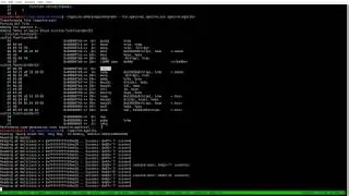 Egalito demo: patching a known vulnerability (spectre v1)