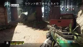 がーらんど　5枚