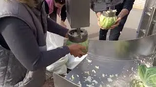 Cabbage shredding and coring machine