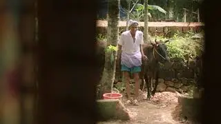 നായര് തകർത്തഭിനയിച്ചൂട്ടാ... Sudani From Nigeria Comedy Scene