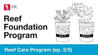 Reef Care Program &eacute;pisode 2 : Reef Foundation, sous-titr&eacute; fran&ccedil;ais