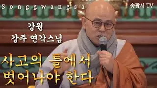 송광사 일요가족법회 강원 강주 연각스님 26.2.1