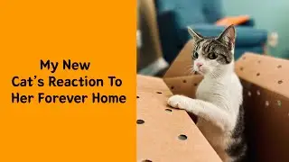 50 Wholesome Rescue Pet Pics To Heal Your Soul 9/9 - Rescue pet