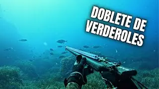 Pesca submarina en Mallorca |Doblete de verderoles a la espera