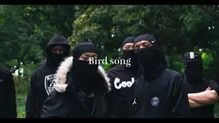 Nerino - Bird song feat. Lilin. (Official Video)