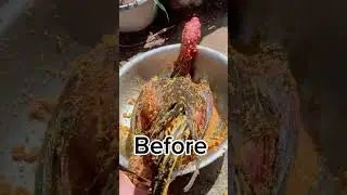 After 10 minutes #aseelmurga #myfarmupdateaseel #chicken #aseelmurgafarm #allpetstv #aseelhenfarm
