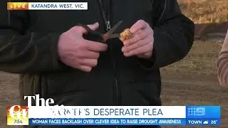 Farmer cuts up rare Woolworths Lion King ooshies on live TV