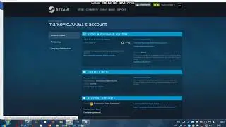 steam fix