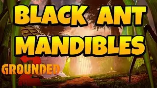 How to Get Black Ant Mandibles in Grounded 2