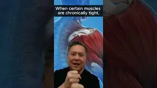 3 Causes of Chronic Low Back Pain #shortvideo #shorts #backpainrelief #chronicbackpain #healthtips