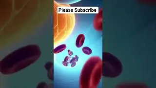 #pancrease#releasing# insulin.
