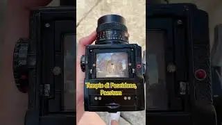 Un mondo da guardare! 📸🎞️😍 #fotografiaanalogica #filmphotography #pellicola #120film #rullino