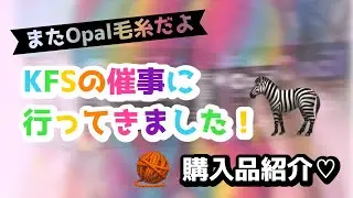 KFSさんの催事に行ってきました🥺💓【購入品紹介／ソックヤーン／Opal毛糸】