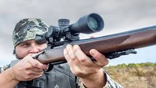 Top 5 Best Sightmark Rifles Scopes in 2023