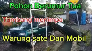 Pohon Tumbang Menimpa Warung Sate Dan Mobil‼️