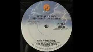 The Blackbyrds - Rock Creek Park - Remix (DJ Mel-O-Dee .. Specialty All Vinyl Mix)