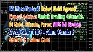 EA MT5 Robot Gold Agresif