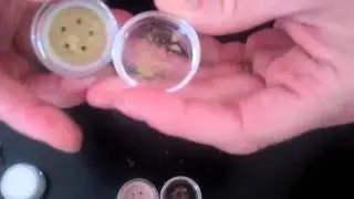Madison Street Beauty Eyeshadow Haul with Swatches
