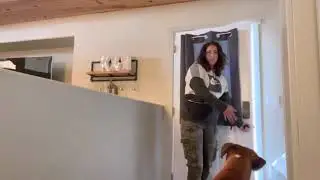 Stop door dashing!