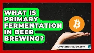 What Is Primary Fermentation in Beer Brewing? | The Pint Guy