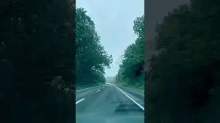 Красота путешествий #shorts #roadtrip #road #beautiful #nature #car #ukraine #love #rain