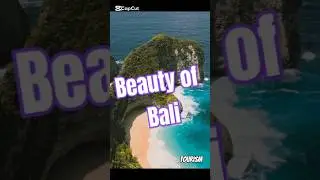 Unveiling the Magic of Bali: A Journey Through Paradise| Tourism_&deg;^