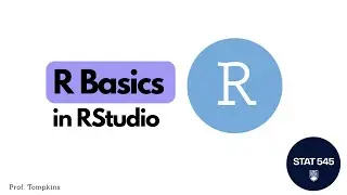 R Basics in RStudio
