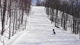 Moove - Sit Ski