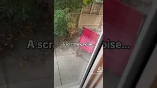 Demonic Activity!! #scary #creepy #demon #ghost #paranormal #poltergeist